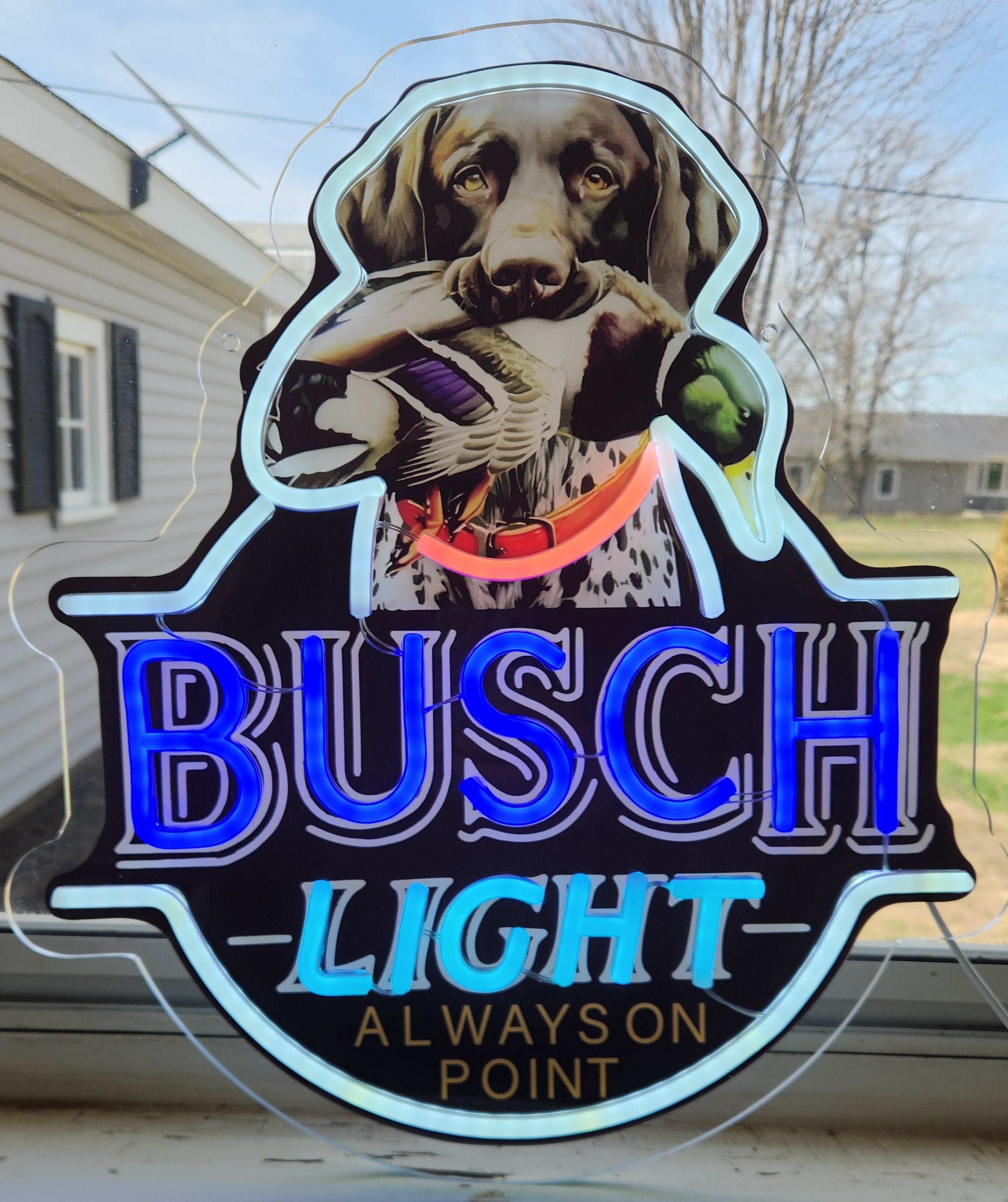 busch beer commercial fish hook in ear Light German Short Haired Point w/ Duck 
