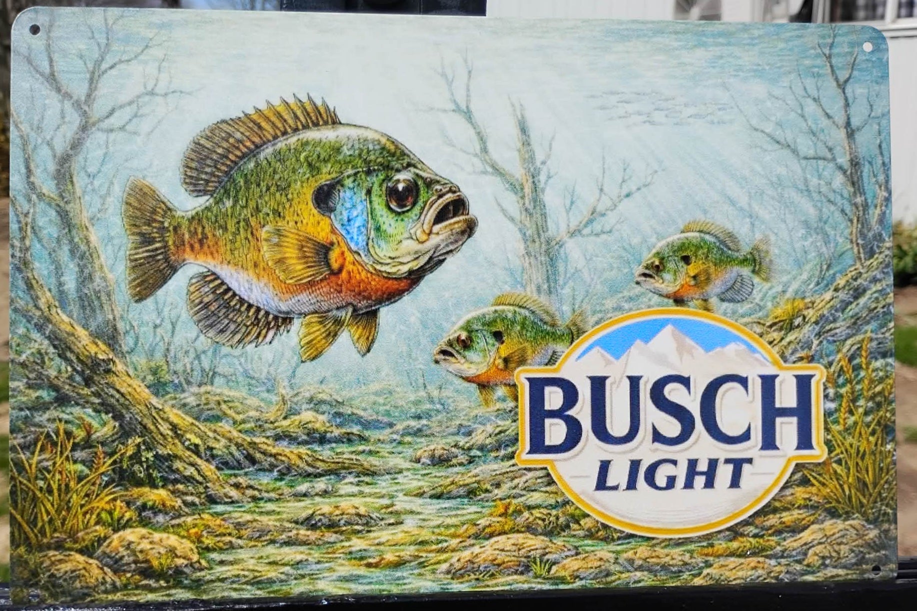 Busch Light Bluegill Fishing Metal Beer Advertising Sign – 12” x 8”