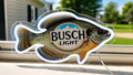 Busch Light Bluegill Fish LED Lighted Advertising Sign